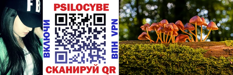 Псилоцибиновые грибы мицелий  Костомукша 