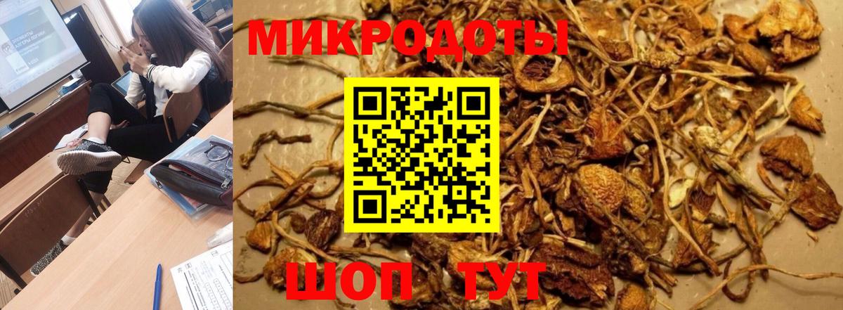Галлюциногенные грибы Psilocybine cubensis  Вход с VPN  Костомукша 