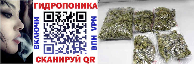 гидра вход  Костомукша  МАРИХУАНА ГИДРОПОН  где продают  